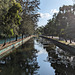 Nénuphars en perspective / Water lilies perspective