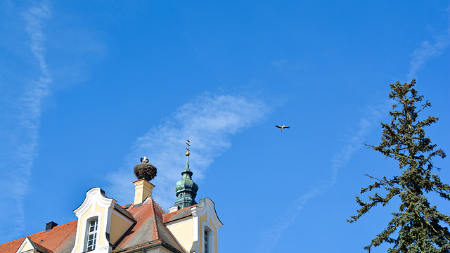 Donauwörth Heilige Kreuz Kloster