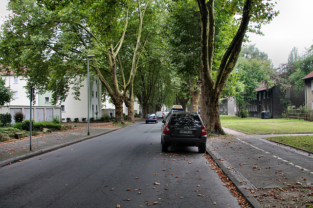 Landgrafenstraße (Wanne-Eickel) / 26.08.2017