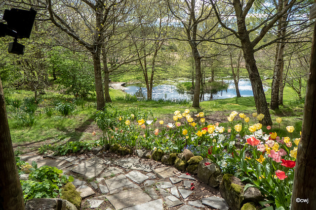 Early May Garden colours