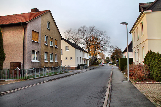 Hermannstraße (Unna-Königsborn) / 26.11.2022