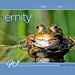 ipernity homepage with #1562