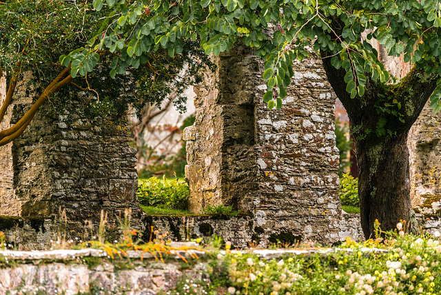 Dartington Hall - 20150903