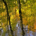 autumn in the water °°°°°