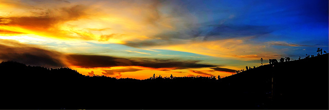 Only possible in the tropics, sunrise in Heritance Tea Factory, Nuwara Eliya, Sri Lanka