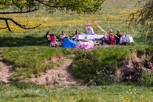 Riverside Picnic