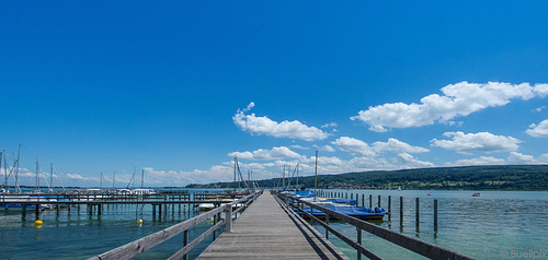 bei Horn am Untersee - Bodensee (© Buelipix)