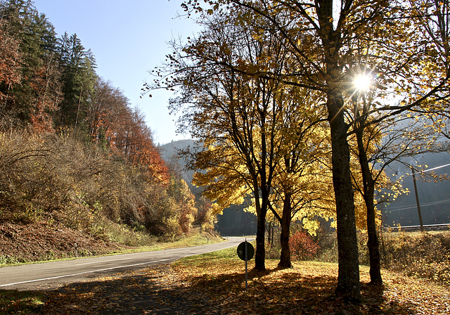 Auf der Straße entlang der Donau