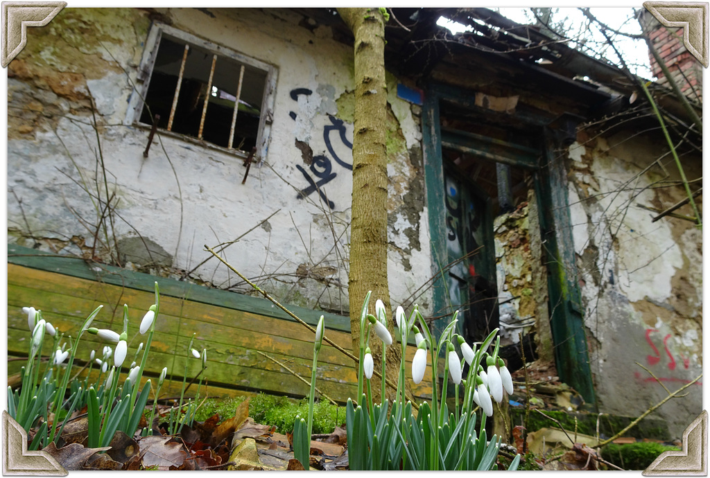 So wohnt man in der Oberpfalz!