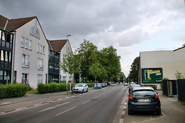 Heinrich-Lemberg-Straße (Mülheim-Heißen) / 23.05.2020