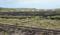 Peat harvesting