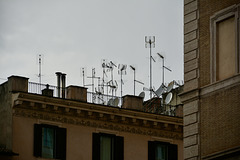 Rome 2025 – Antennæ Rome 2025 – Antennæ