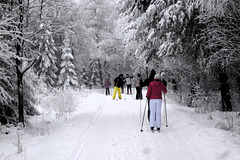 Wintermärchen - vintra fabelo - Altenberg/Sachsen