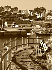 jardin sur la mer