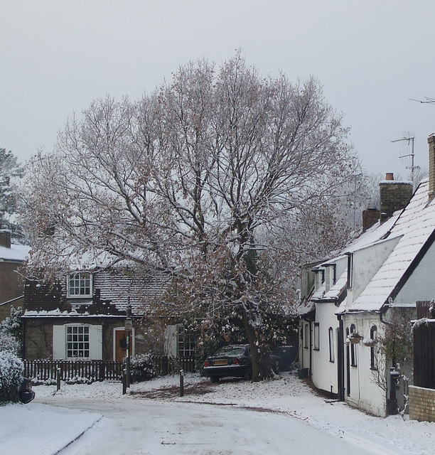 Fulbourn 2010-12-20 001