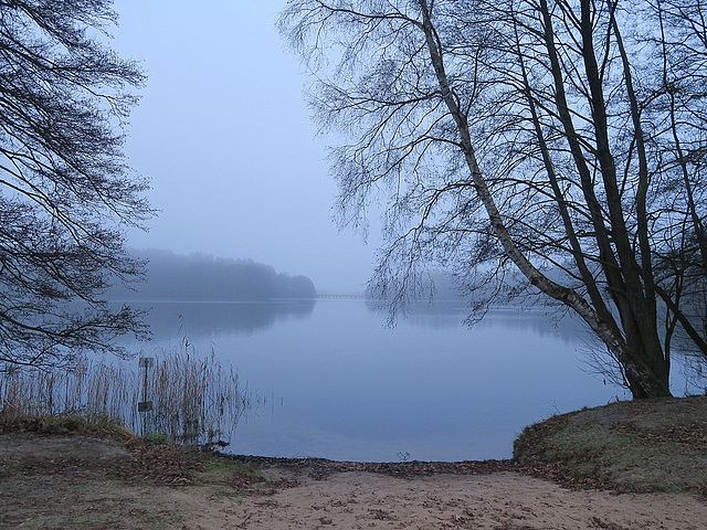 Winterstimmung am Pagelsee ...