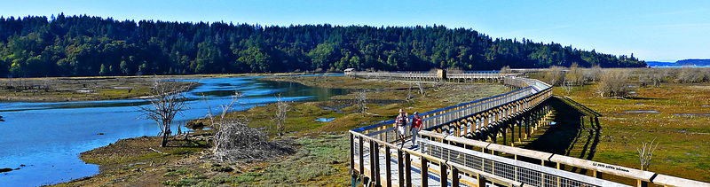 Nisqually National Wildlife Refuge Trail ... (PiP)