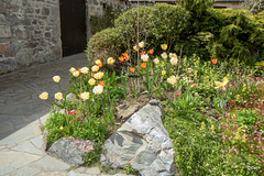 Early May Garden colours