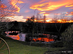 Sunset over the pond this evening