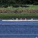 The rowing team practising for the regatta