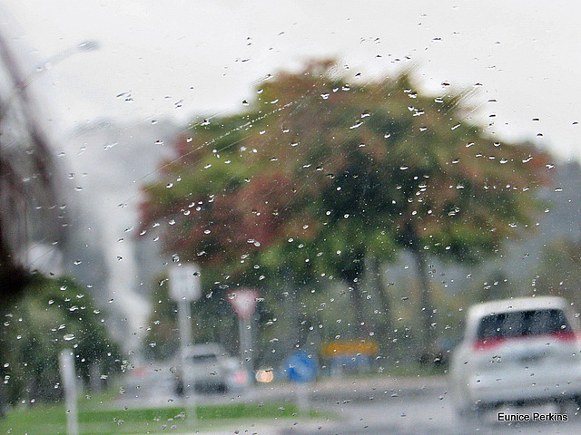 Rain in Rotorua