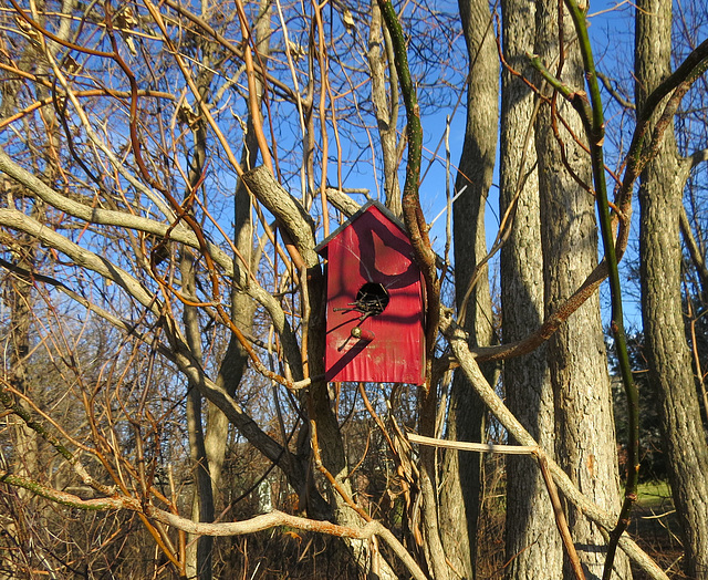 One of three red birdhouses in the park