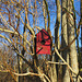 One of three red birdhouses in the park