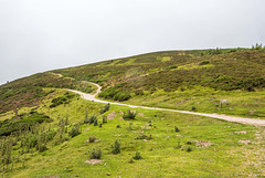 Paths leading to the summit of Moel Famau