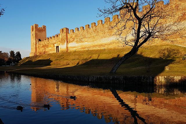 #50 - franco benf - Castelfranco Veneto - 24̊ 1point