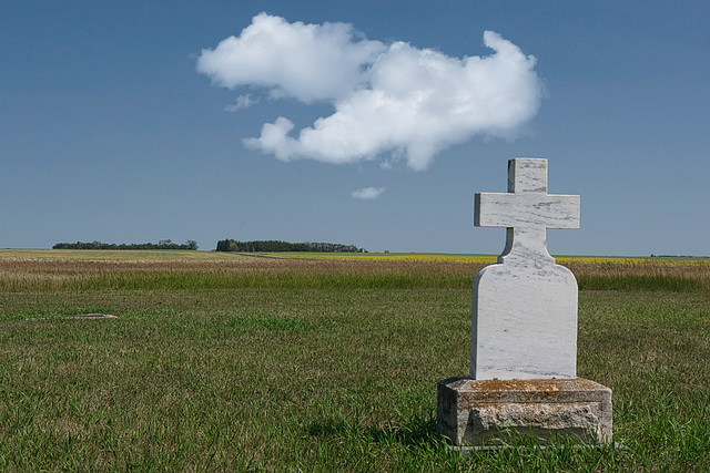 a cross in a field