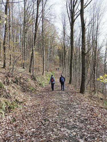 Jakobsweg (Nebenweg): Hof - Schwarzenbach (Saale)