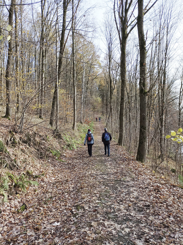 Jakobsweg (Nebenweg): Hof - Schwarzenbach (Saale)