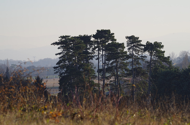 la Drôme provençale