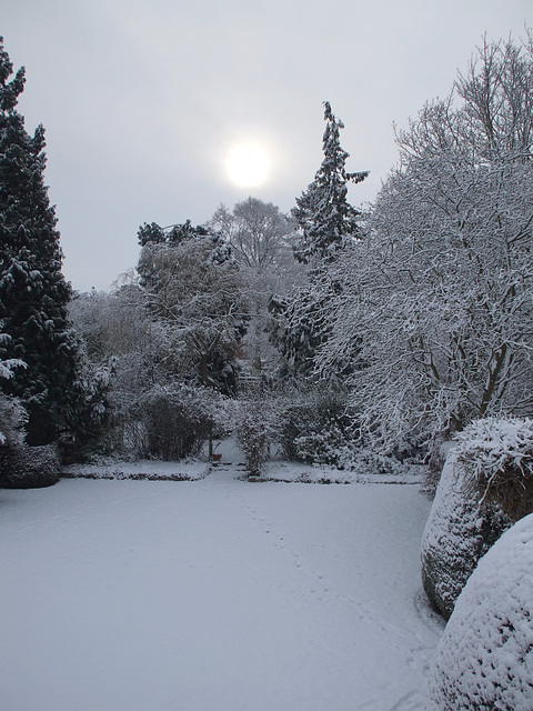 Fulbourn garden 2010-12-19