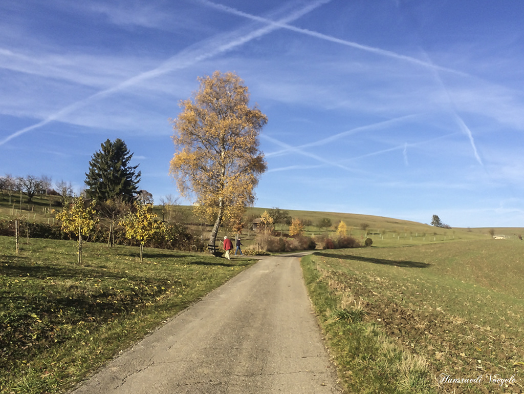 Schnell auf die Bank sitzen und die Sonne geniesen