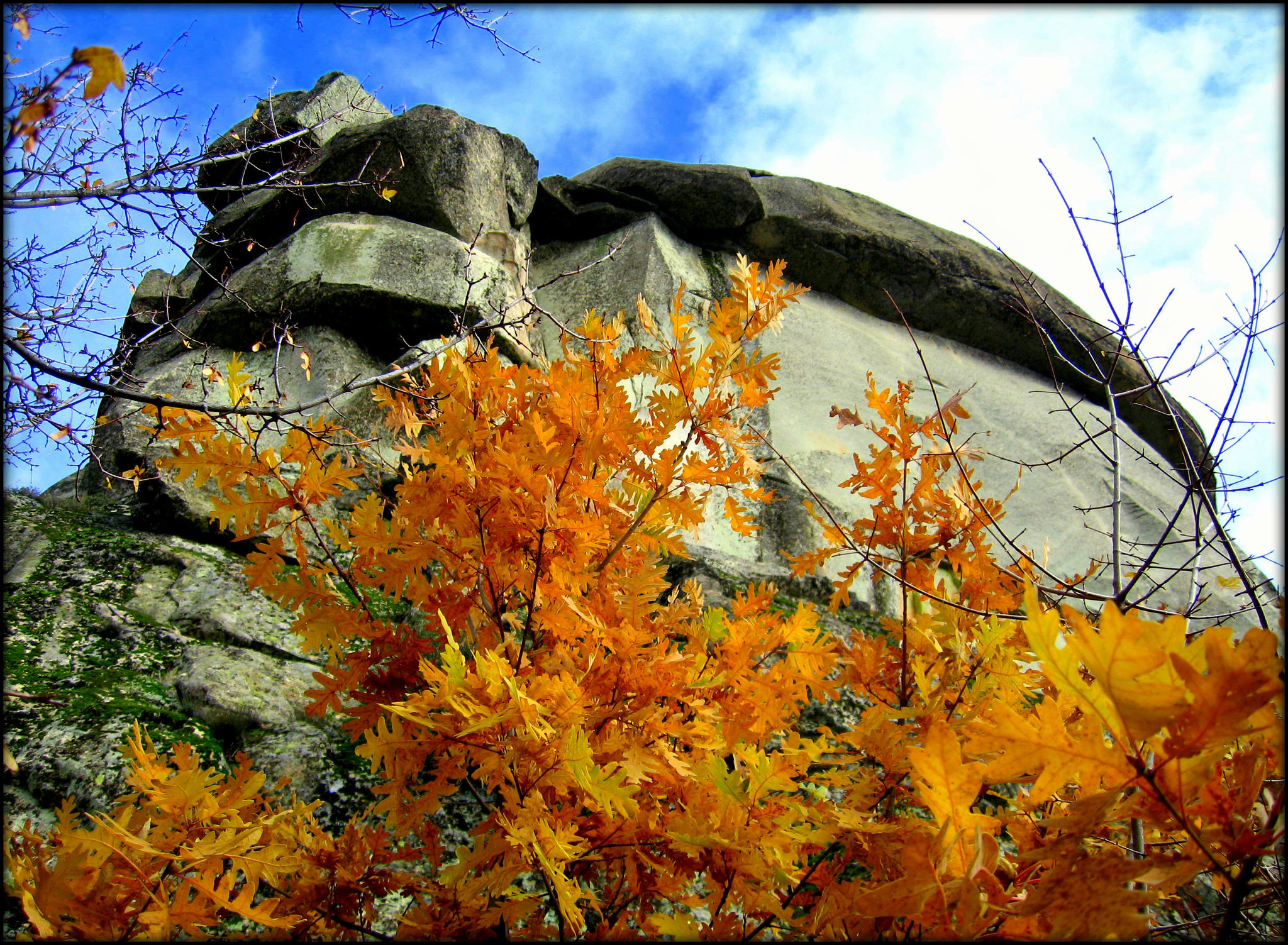 El Cancho Largo in autumn, with colourful oak.