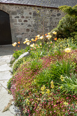 Early May Garden colours