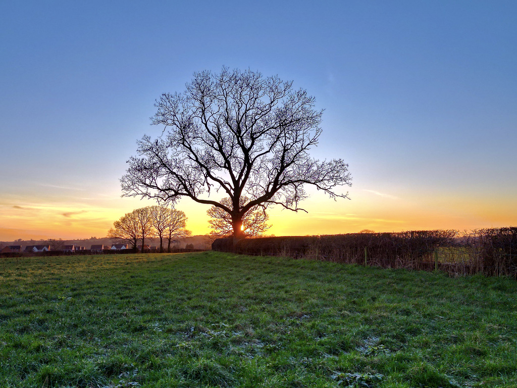 Wintry Sunset