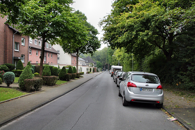 Bobenfeld (Wanne-Eickel) / 26.08.2017