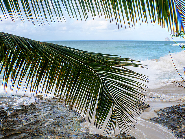 la Martinique