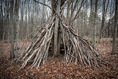 Shaman Site - Quabbin Forest