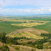 View from Steptoe Butte