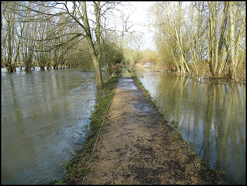 Fiddler's Island causeway