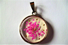 Pink flower and gold in circle