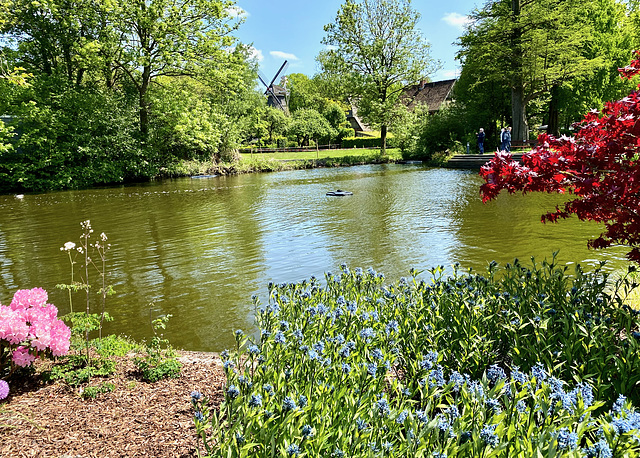 Teich in Bad Zwischenahn   (2 pips)