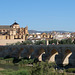 Puente Romano