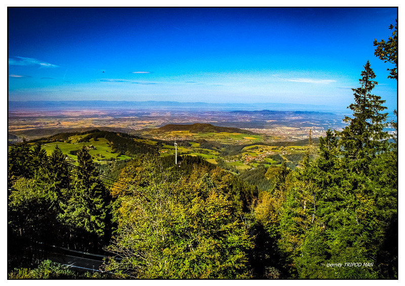 Blick auf Freiburg