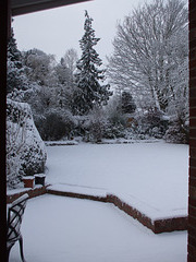 Fulbourn garden 2010-12-19