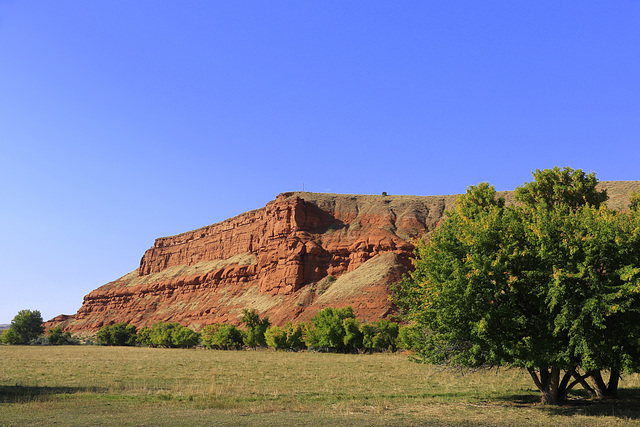 Signal Cliff