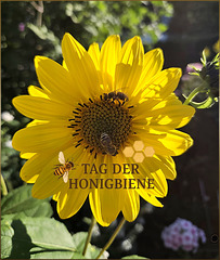 Nationaltag der Honigbiene ✨️ Nationaltag der Honigbiene ✨️